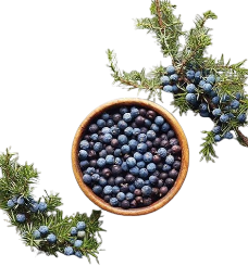 Juniper Berries