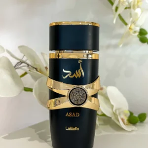 Asad Lattafa - Image 7