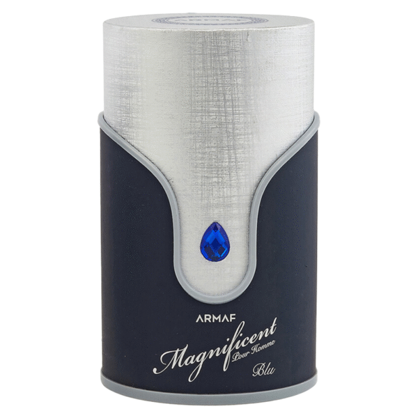 Magnificent Blue Pour Homme Armaf - Image 3