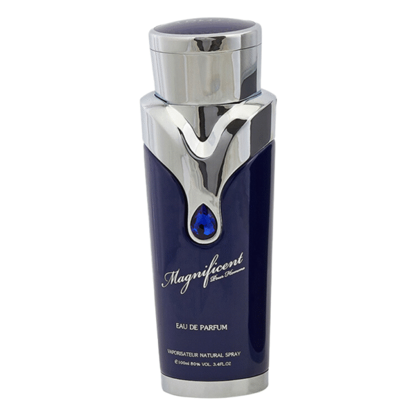 Magnificent Blue Pour Homme Armaf - Image 1