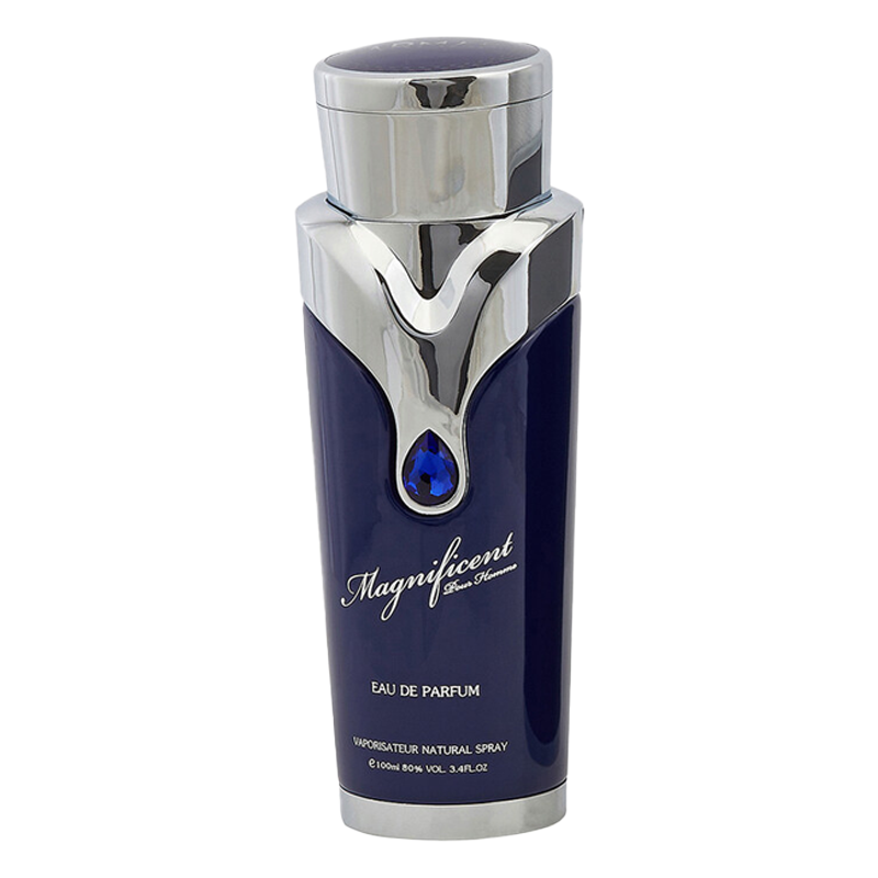 Magnificent Blue Pour Homme Armaf - Image 1