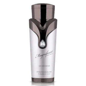 Magnificent-Pour-Homme-1 Magnificent Pour Homme Armaf
