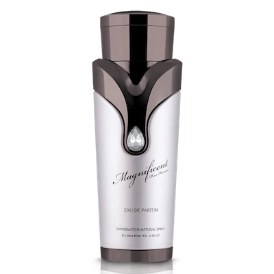 Magnificent Pour Homme Armaf - Image 1