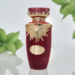 Sakeena Lattafa - Image 2