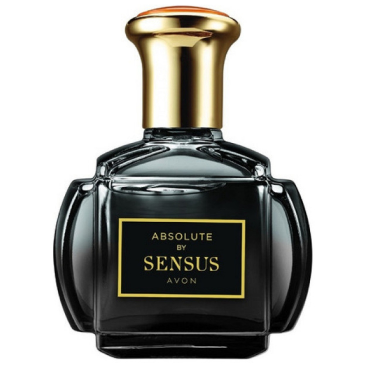 Sensus Absolute Avon Perfume Review, Price and Projection and ...