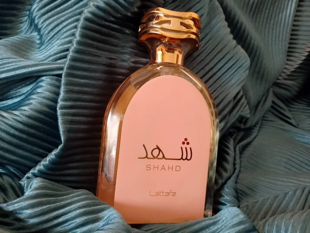 Shahd Lattafa - Image 3