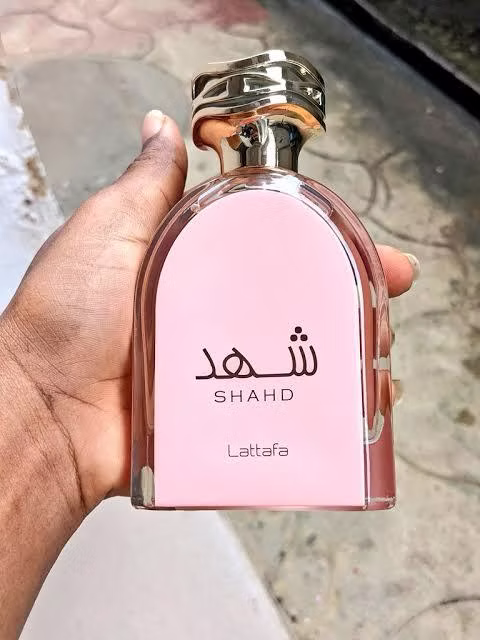 Shahd Lattafa - Image 2